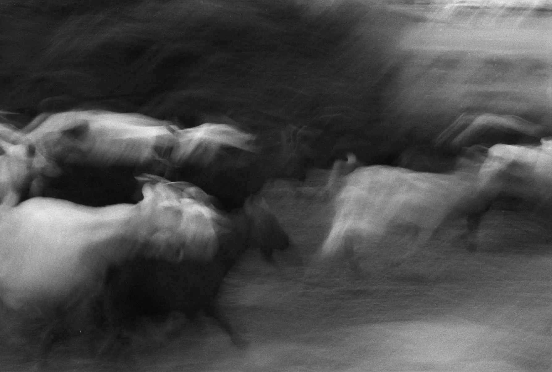 Kiefer Cheung, Flow of Life, 2025