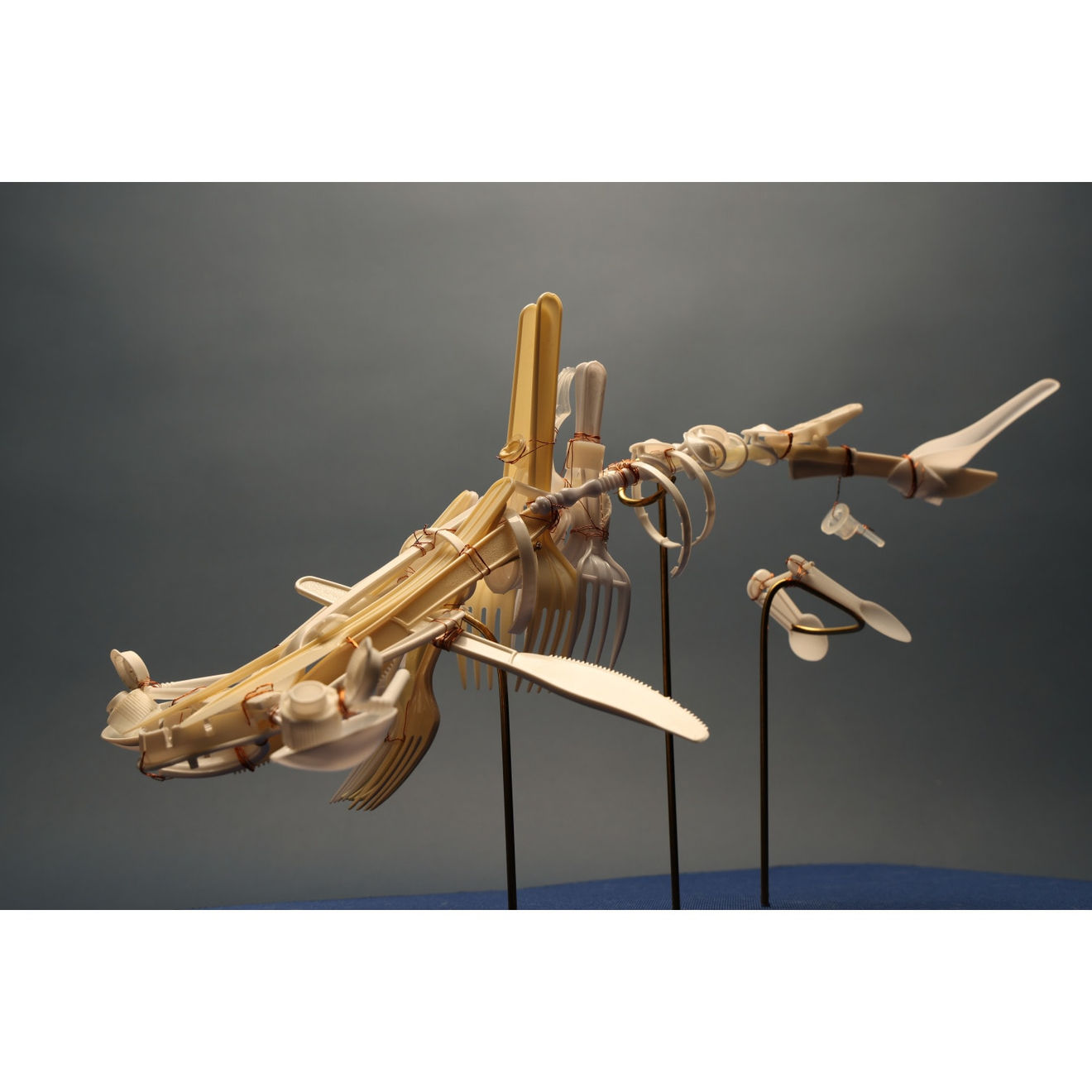 Vincent Lee, Hammerhead Shark (1:10) , 2023