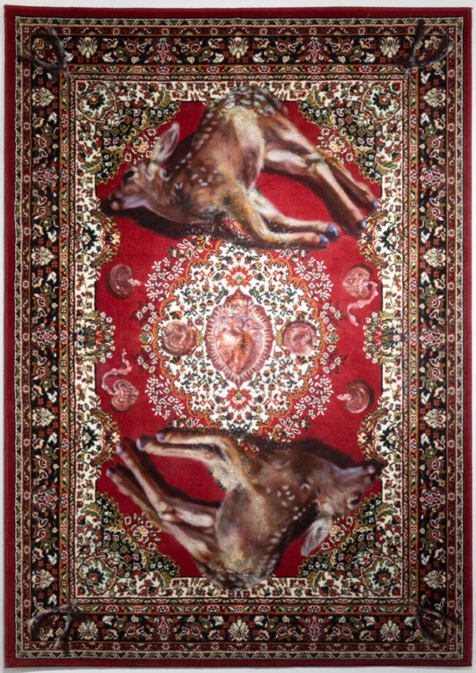 Grace McNerney, Fawning, 2024