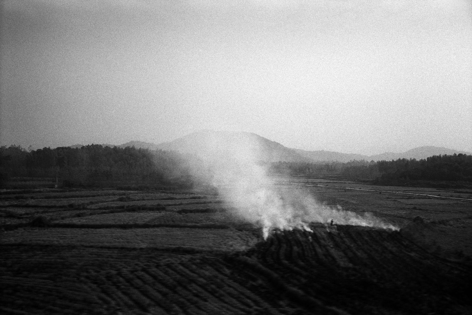 黎朗 Li Lang, 某年某月某日-A0830 | A Long Day of A Certain Year-A0830, 2019