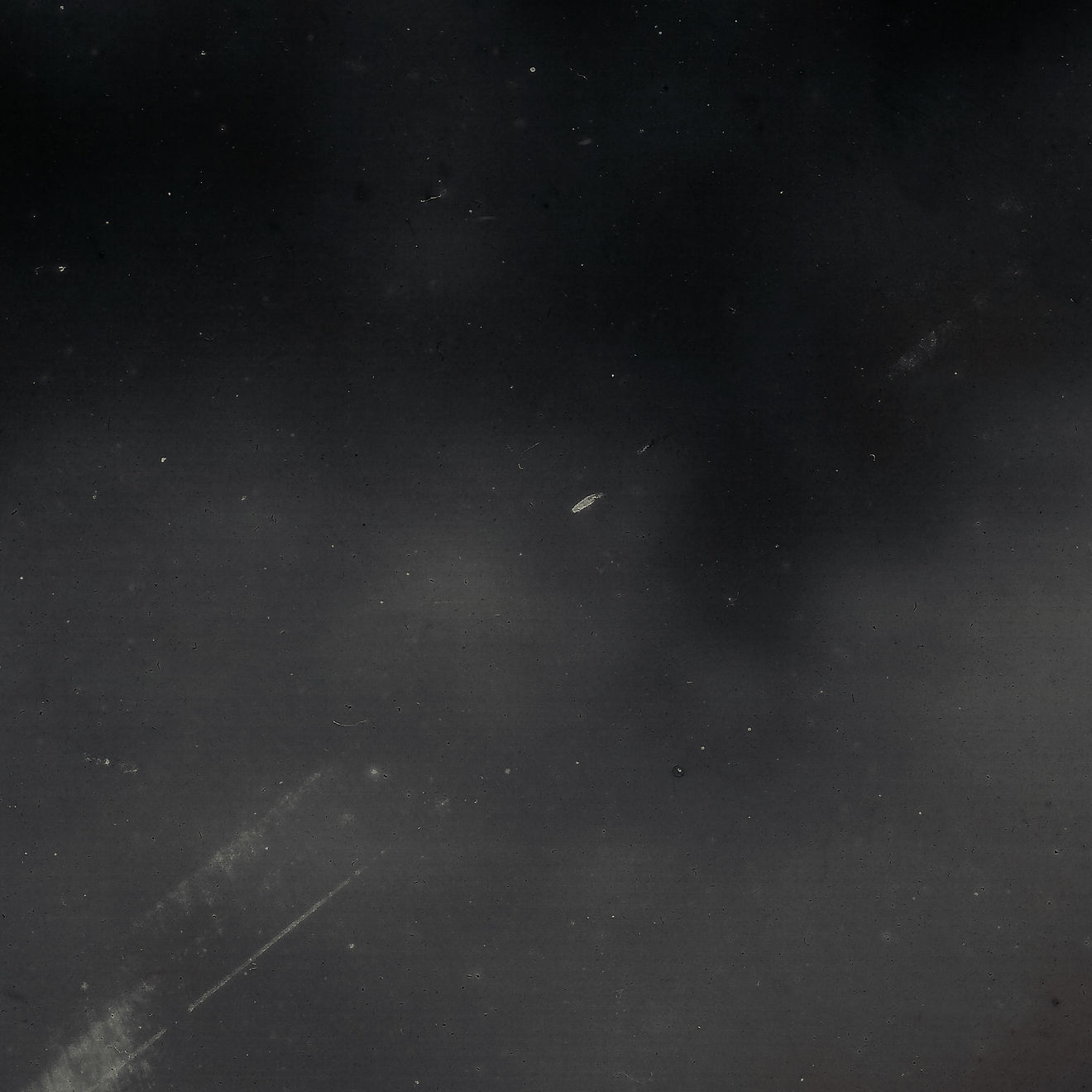 陈萧伊 Chen Xiaoyi, Never 系列 Never Series, 2017