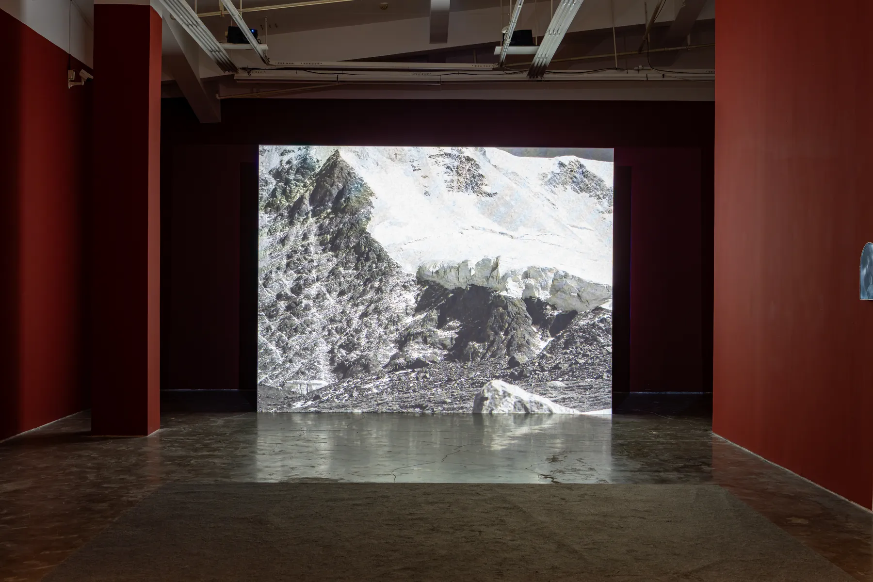 陈萧伊 Chen Xiaoyi, 无情世界 Beyond Sattva, 2025