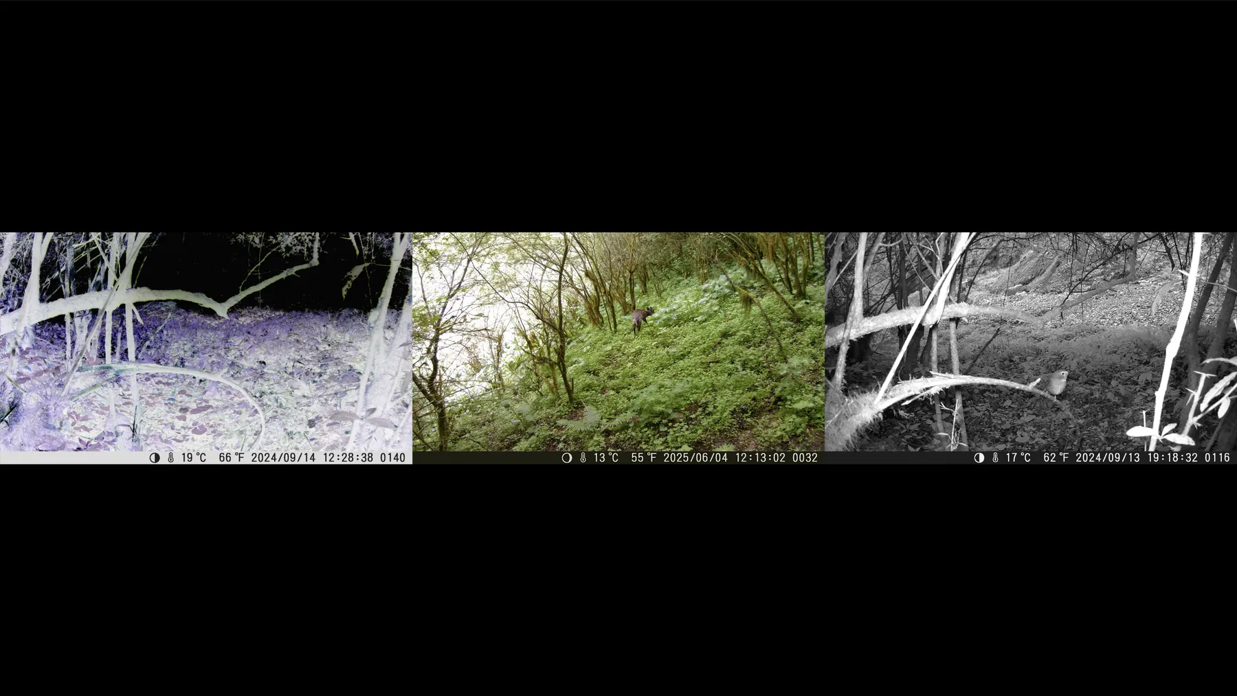 陈萧伊 Chen Xiaoyi, 山峦会记住一切 The Mountains Will Remember Everything, 2021-2025