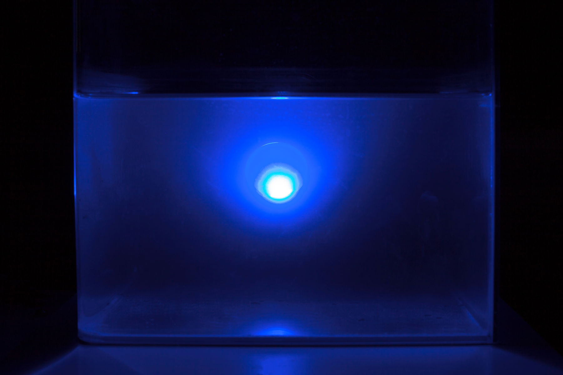 陈萧伊 Chen Xiaoyi, It is the mercy, 2017