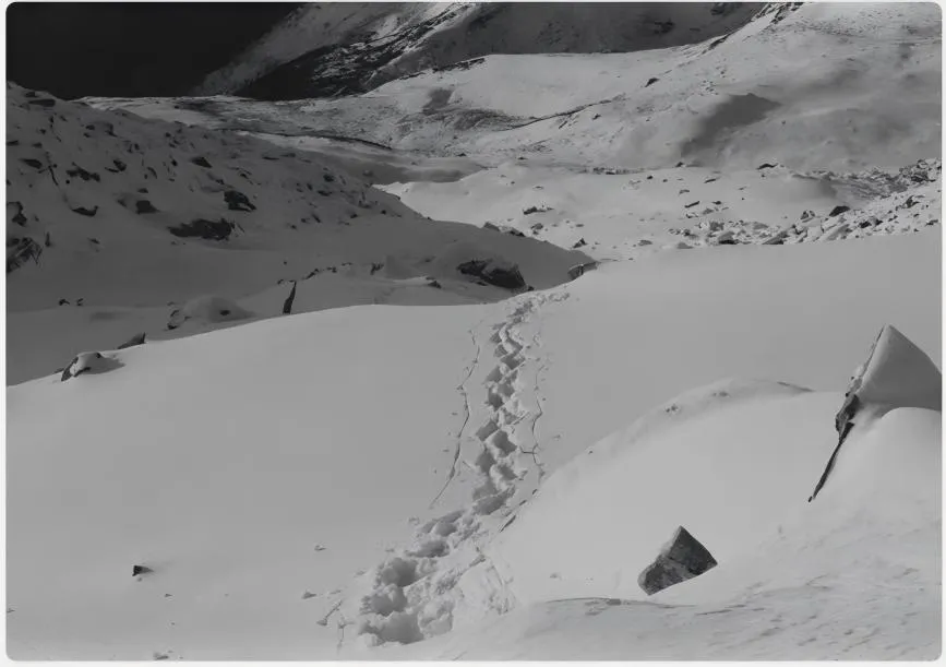 陈萧伊 Chen Xiaoyi, 凹版系列 Photo-etching series, 2025