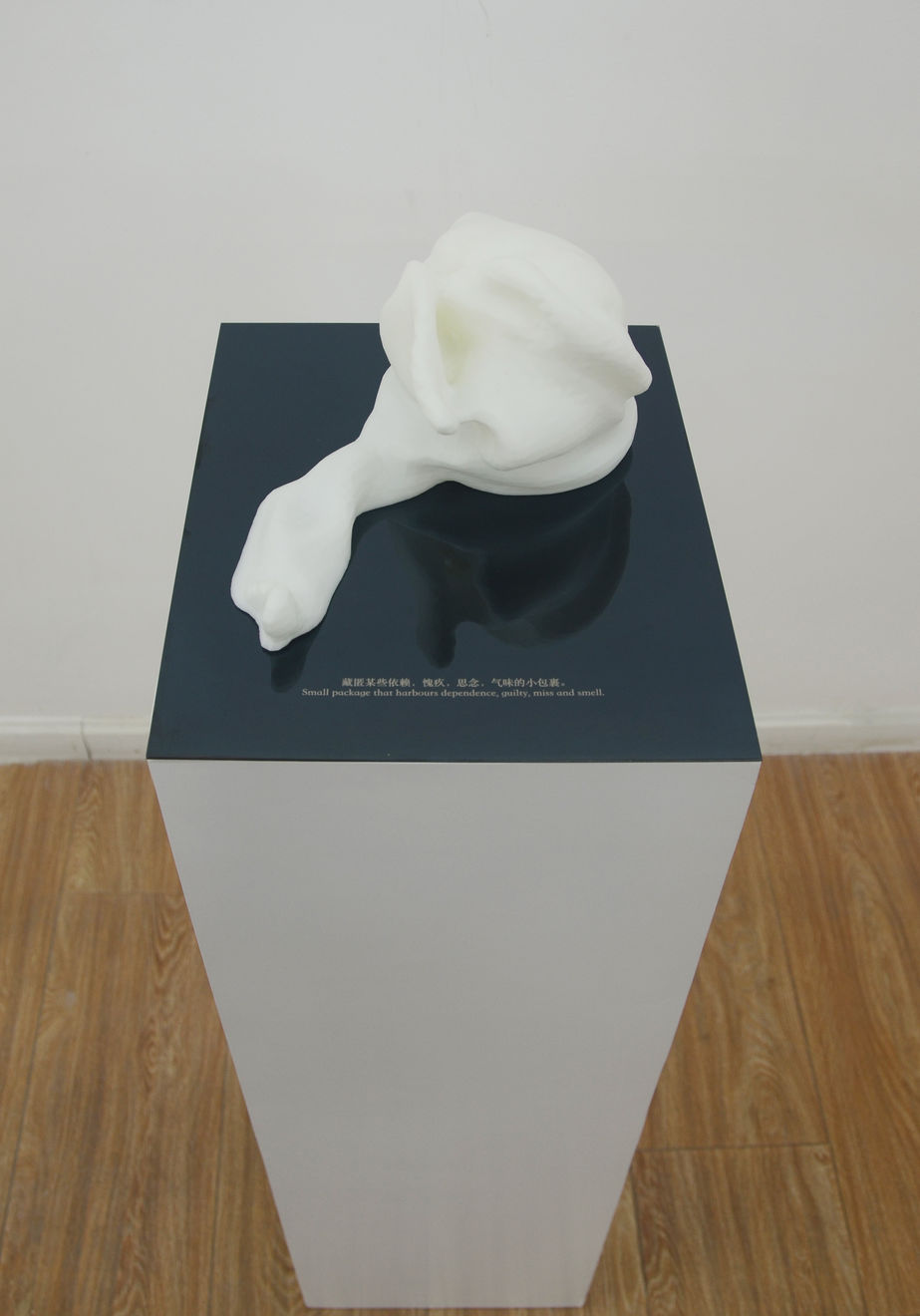 冯冰伊 Feng Bingyi, 时间切片博物馆 Time Slice Museum , 2016