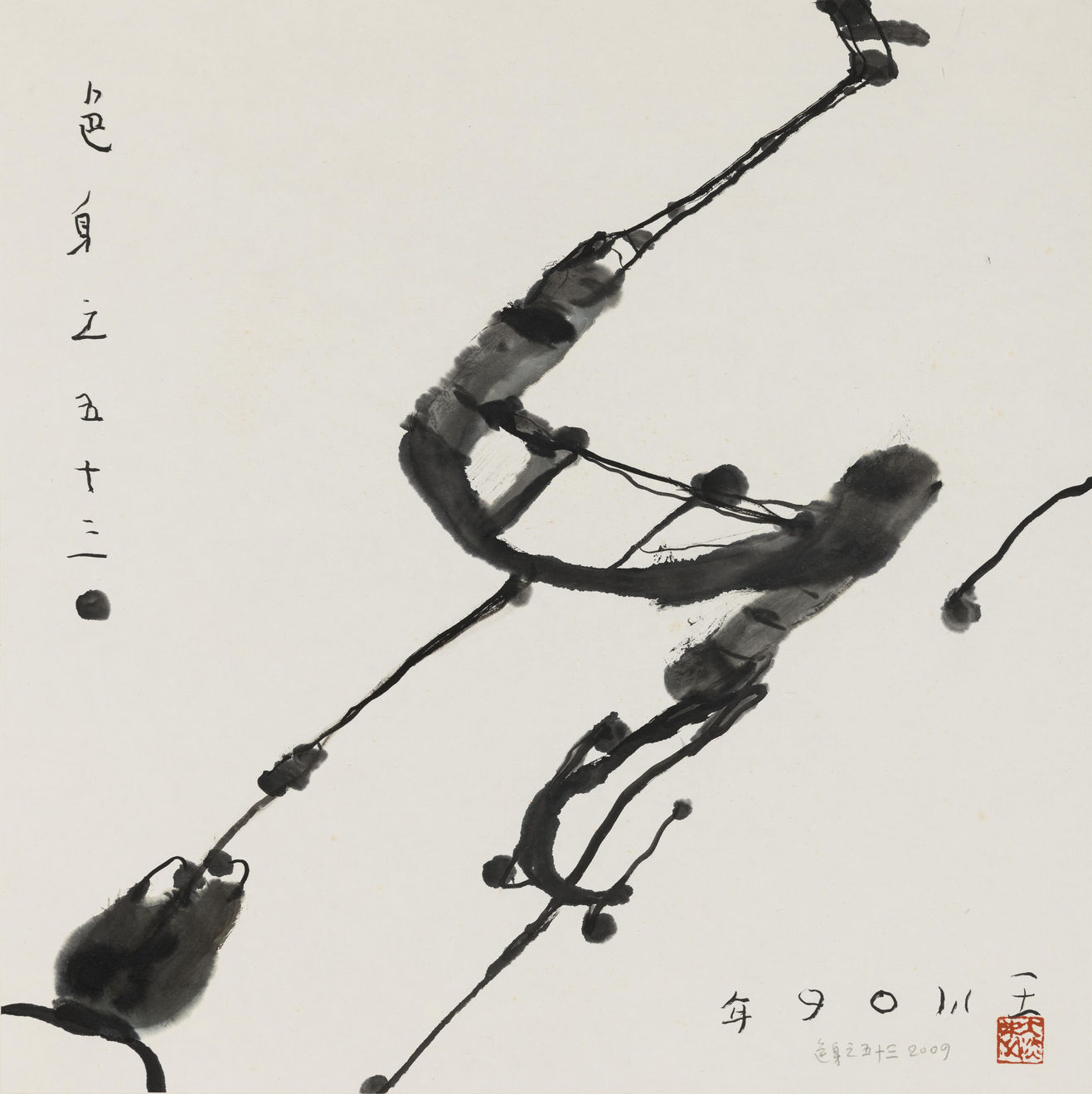 王川 Wang Chuan, 色身系列 Rupakaya Series