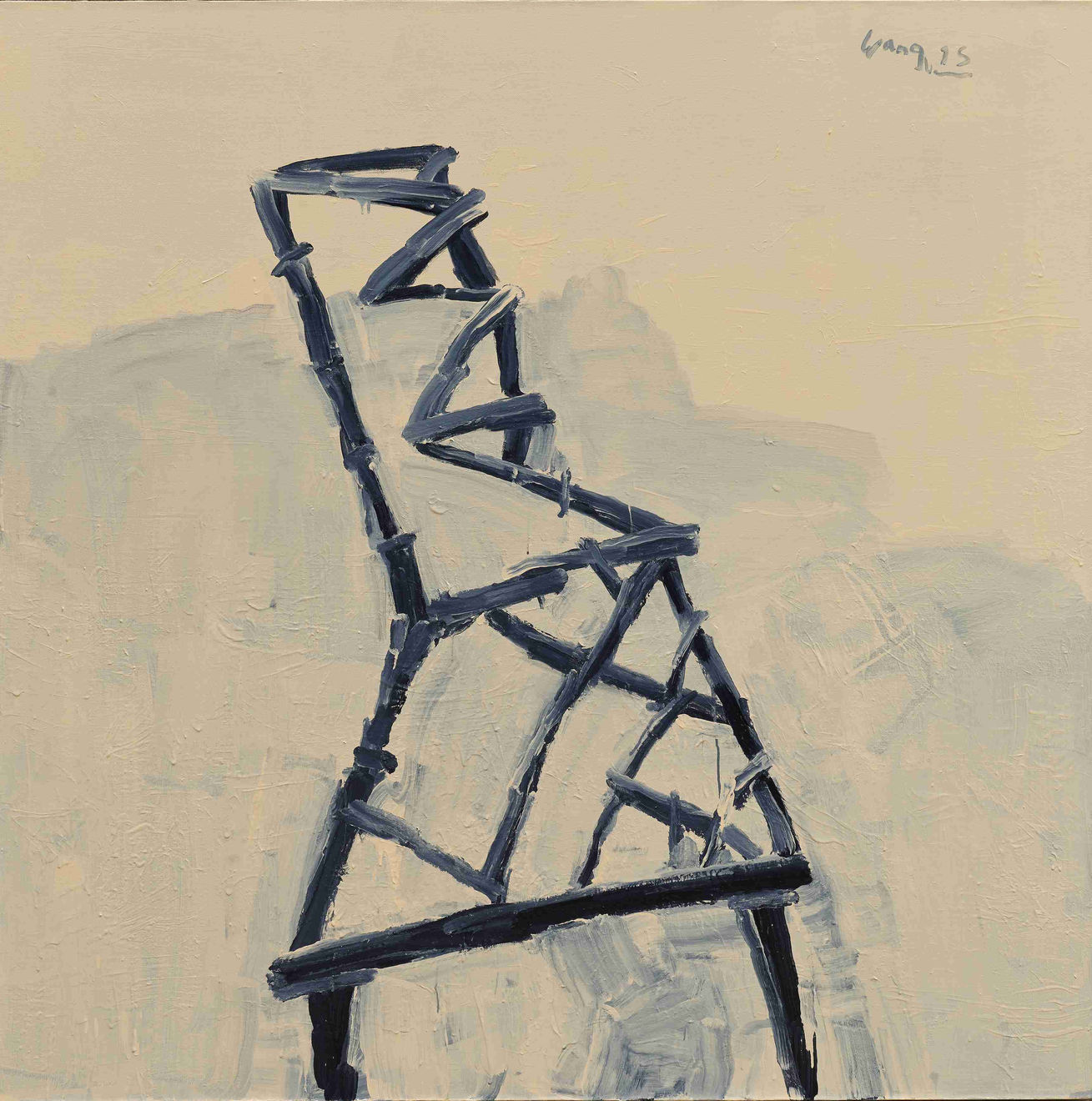 王川 Wang Chuan, 色身系列 Rupakaya Series