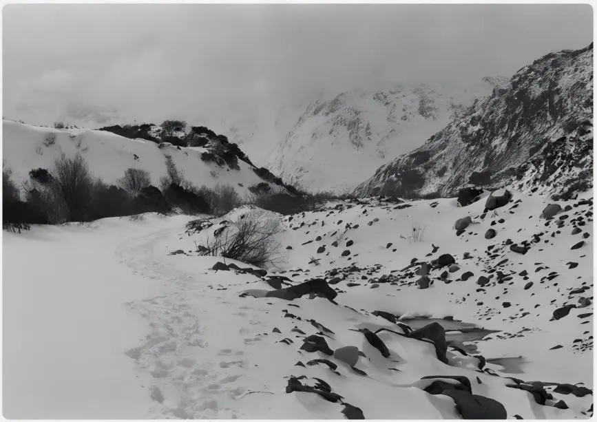 陈萧伊 Chen Xiaoyi, 凹版系列 Photo-etching series, 2025