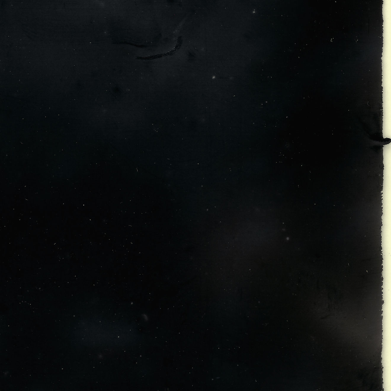 陈萧伊 Chen Xiaoyi, Never 系列 Never Series, 2017