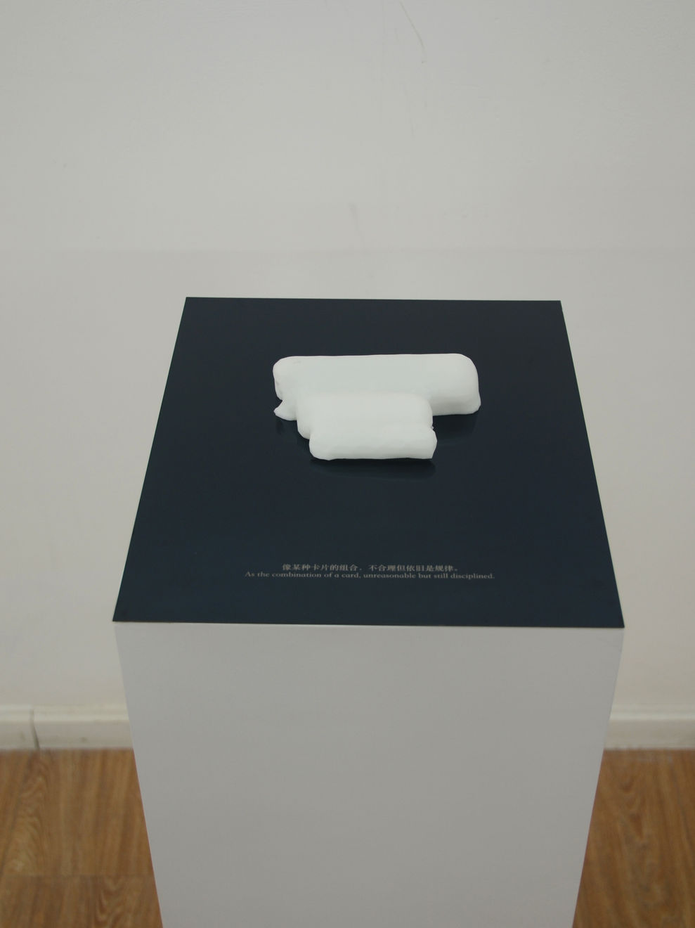 冯冰伊 Feng Bingyi, 时间切片博物馆 Time Slice Museum , 2016