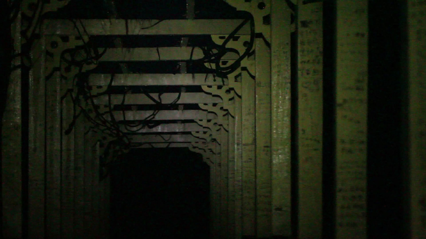 徐琳瑜 Xu Linyu, 母亲 | Mother, 2017