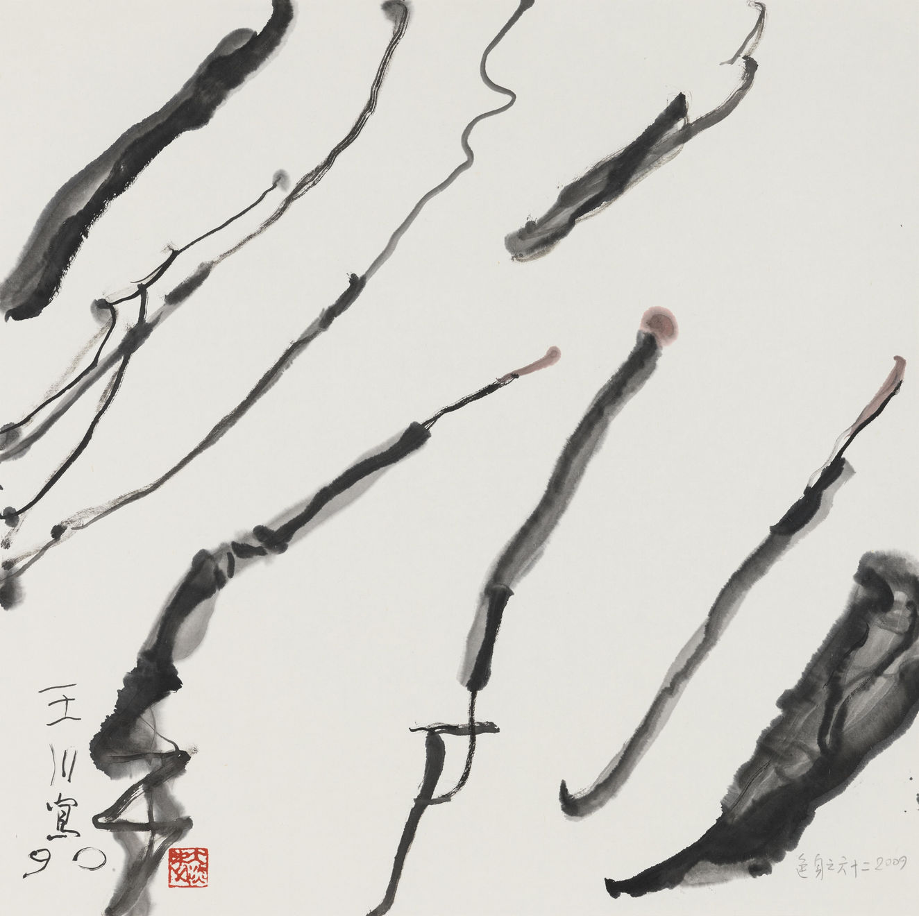 王川 Wang Chuan, 色身系列 Rupakaya Series