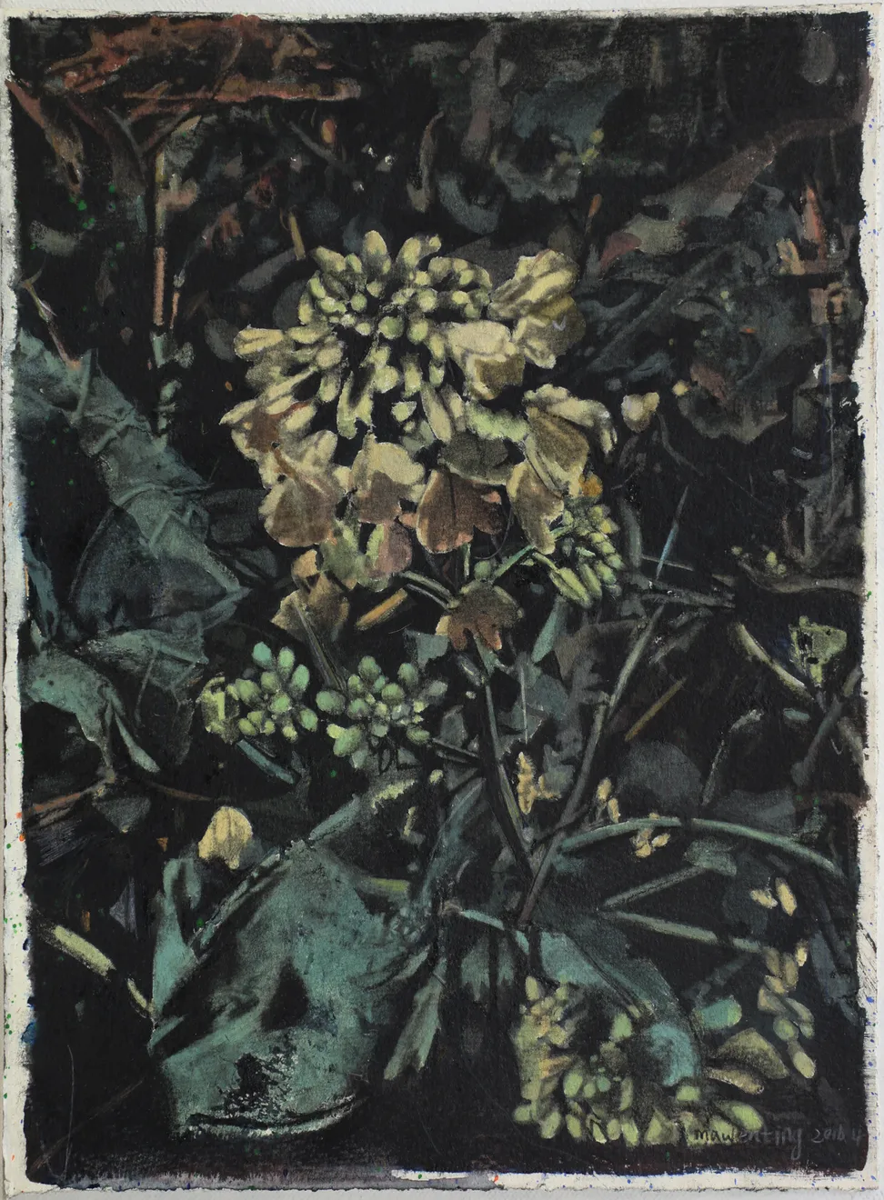 马文婷 Ma Wenting, 植物之二 Plant No.2 , 2016