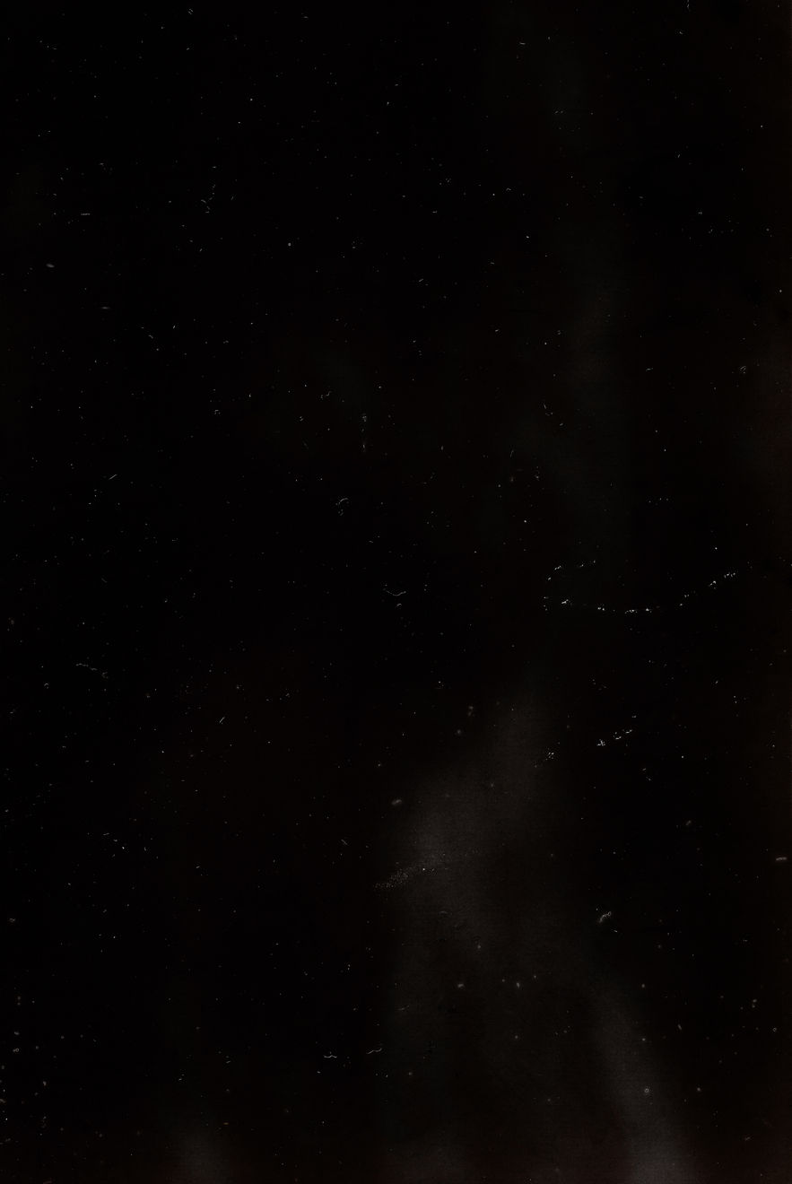 陈萧伊 Chen Xiaoyi, Never 系列 Never Series, 2017