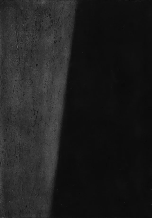 陈萧伊 Chen Xiaoyi, 凹版系列 Photo-etching series, 2025