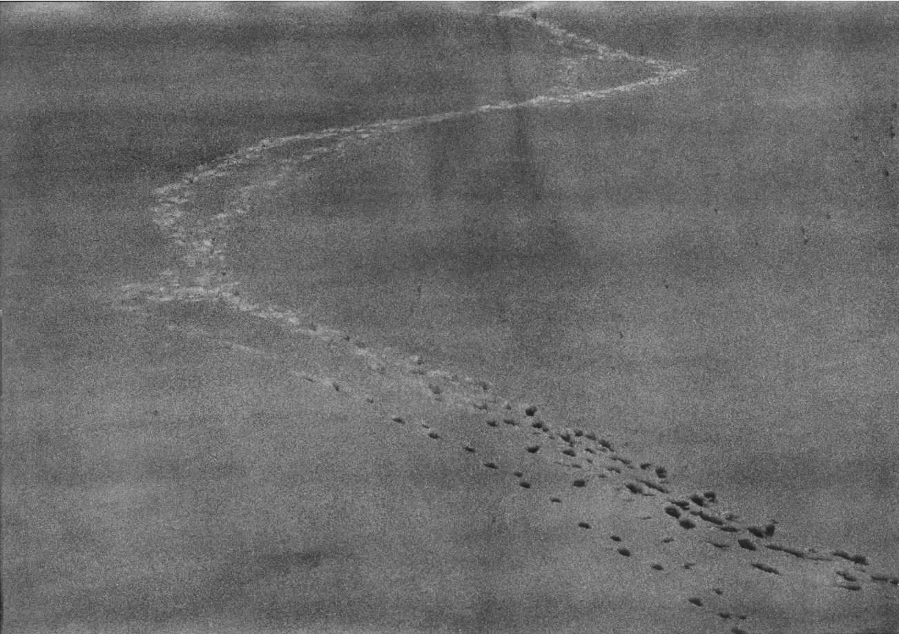 陈萧伊 Chen Xiaoyi, 凹版系列 Photo-etching series, 2025