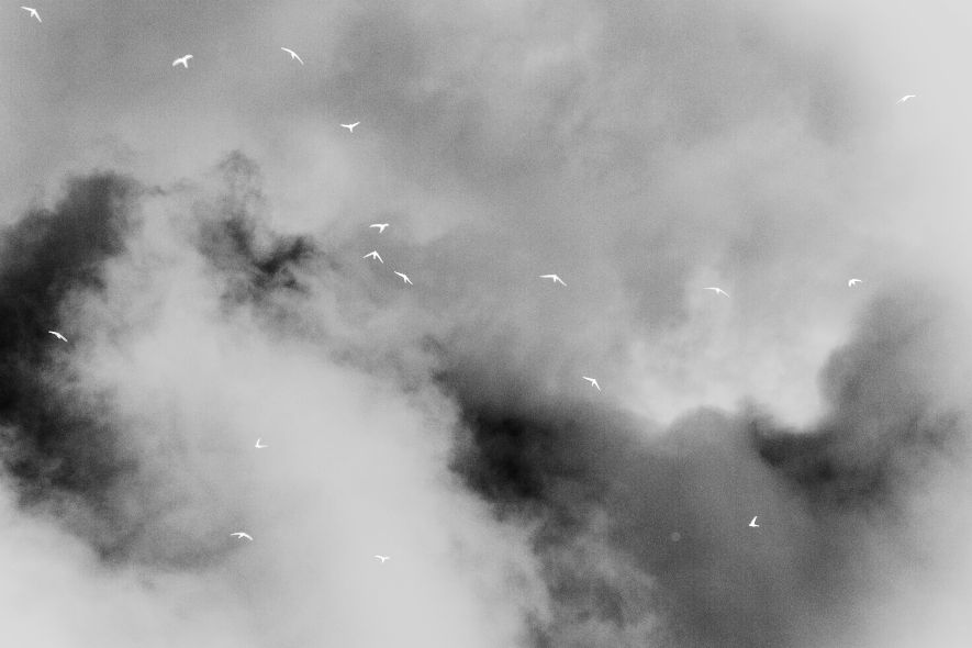 陈萧伊 Chen Xiaoyi, 横截面系列 Crystalloid Series, 2021