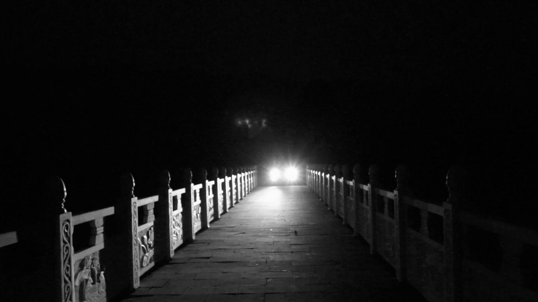 徐琳瑜 Xu Linyu, 放生台 | Free release platform, 2017