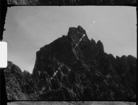 陈萧伊 Chen Xiaoyi, 无情世界 Beyond Sattva, 2025