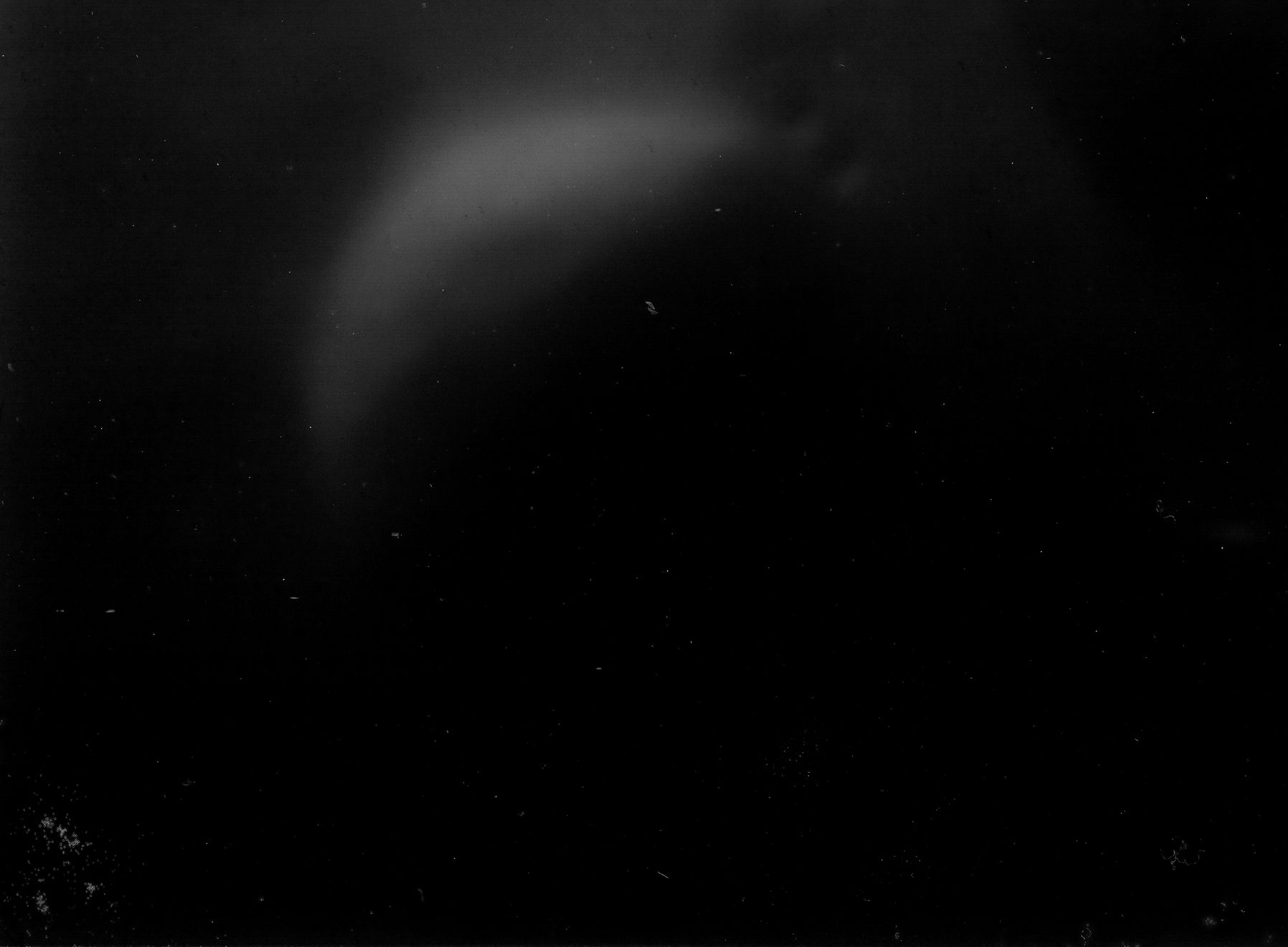 陈萧伊 Chen Xiaoyi, Never 系列 Never Series, 2017