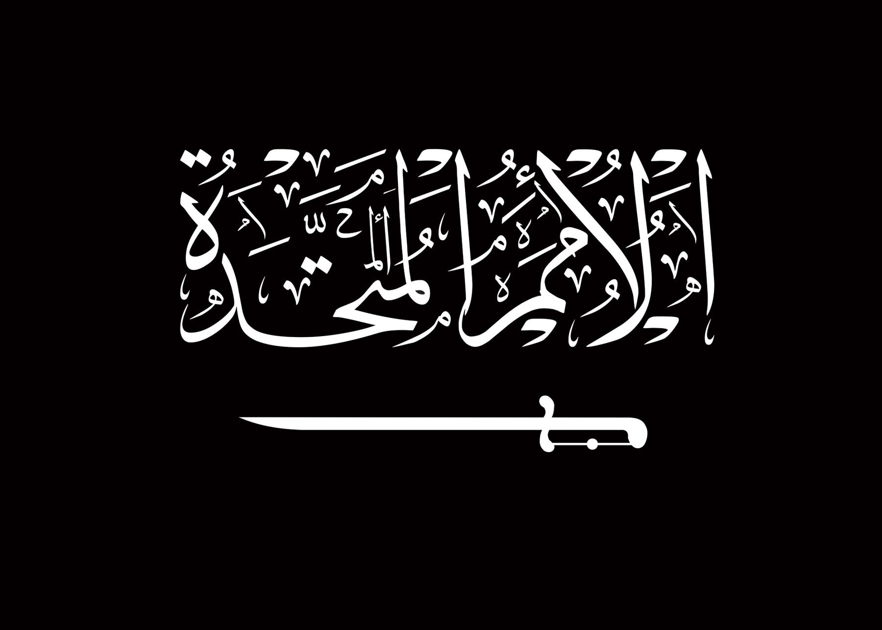 Tammam Azzam, United Nations, 2013