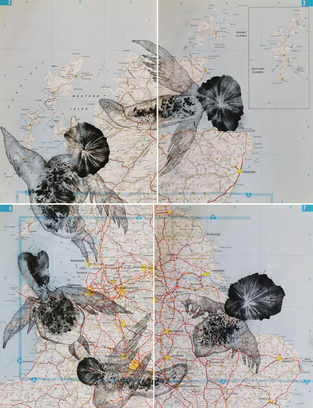 Faisal Samra, PSC-P-D 2, 2023