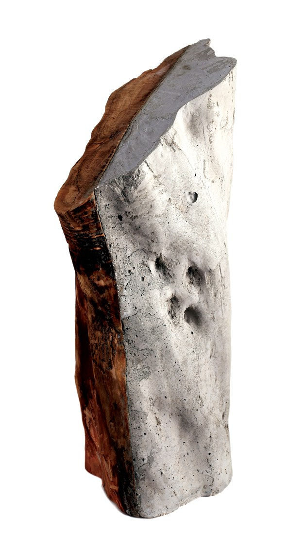 Khaled Jarrar, Olive Tree Stump, 2013