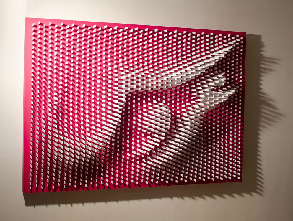 Ramin Shirdel, Aroos, 2013