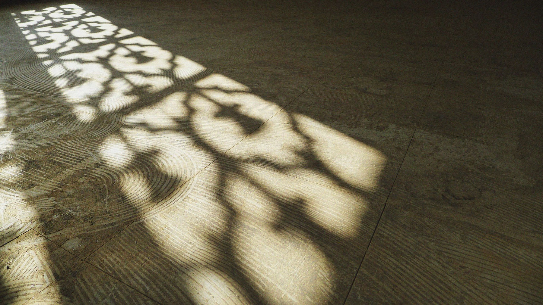 Eric Parnes, Illumination, 2013