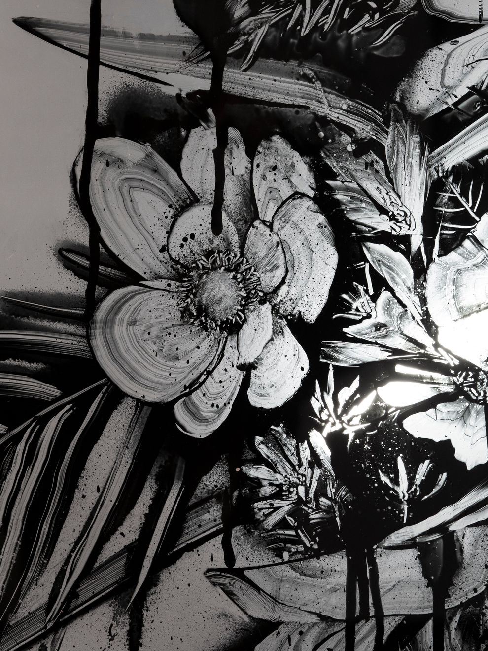 Hiroyasu Tsuri, Wild Flora of the World, 2025