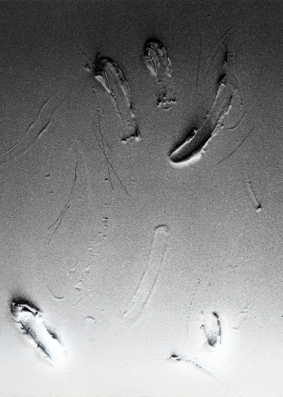 Baxter, Substance #01, 2024