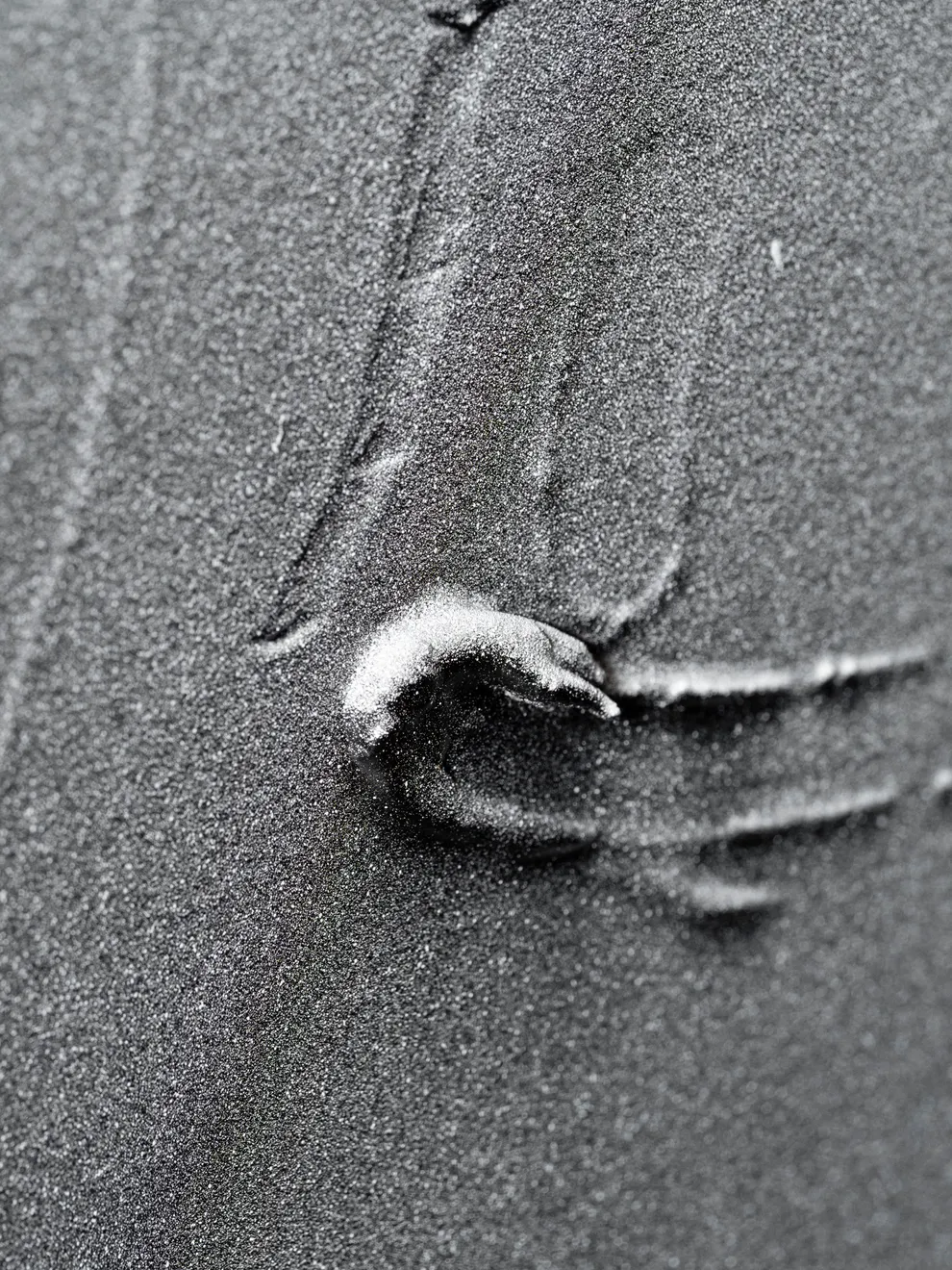 Baxter, Substance #02, 2024