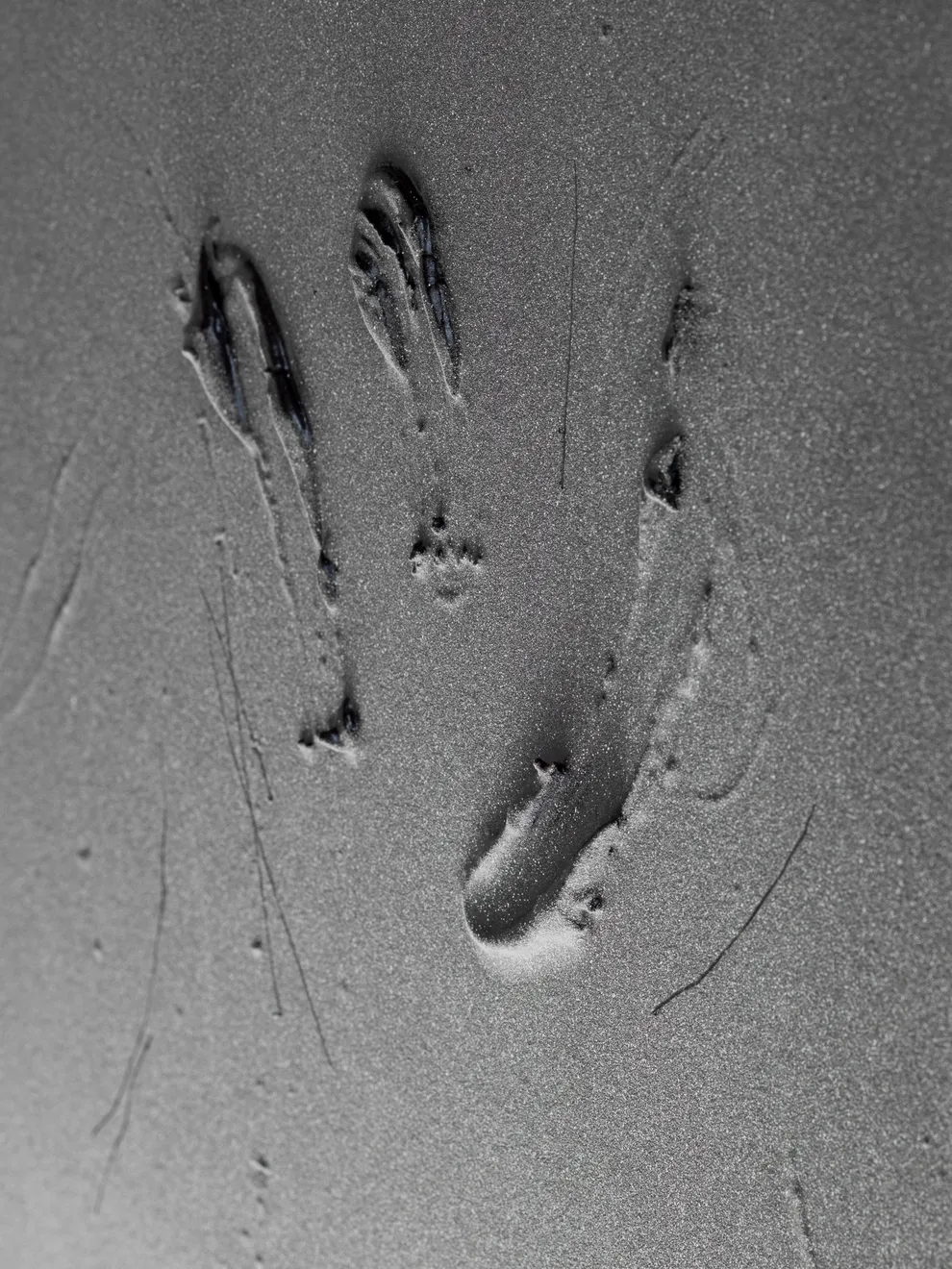 Baxter, Substance #01, 2024