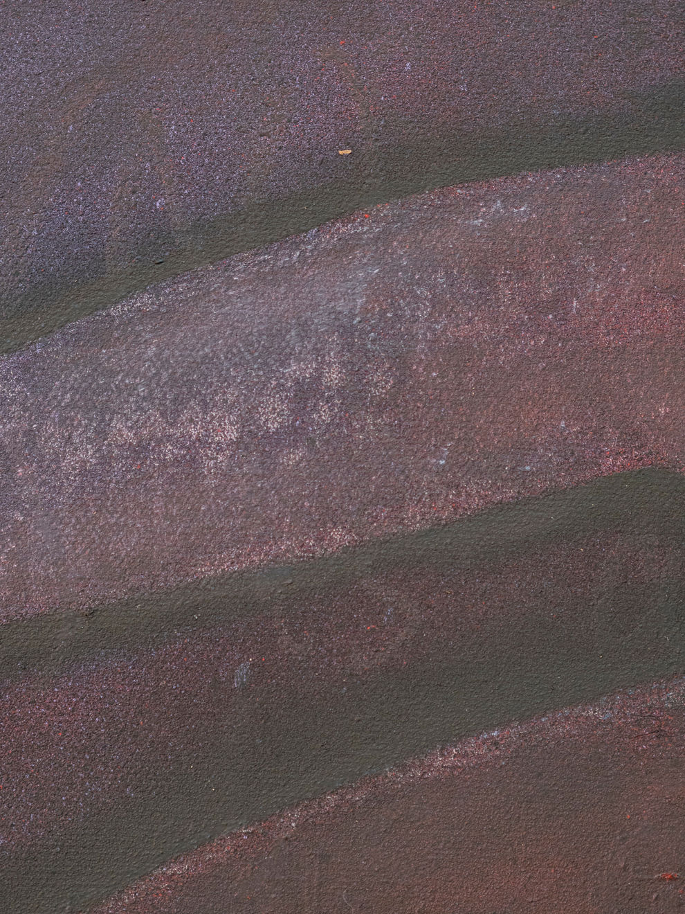 Leili Tehrani Walker, Arena, 2024