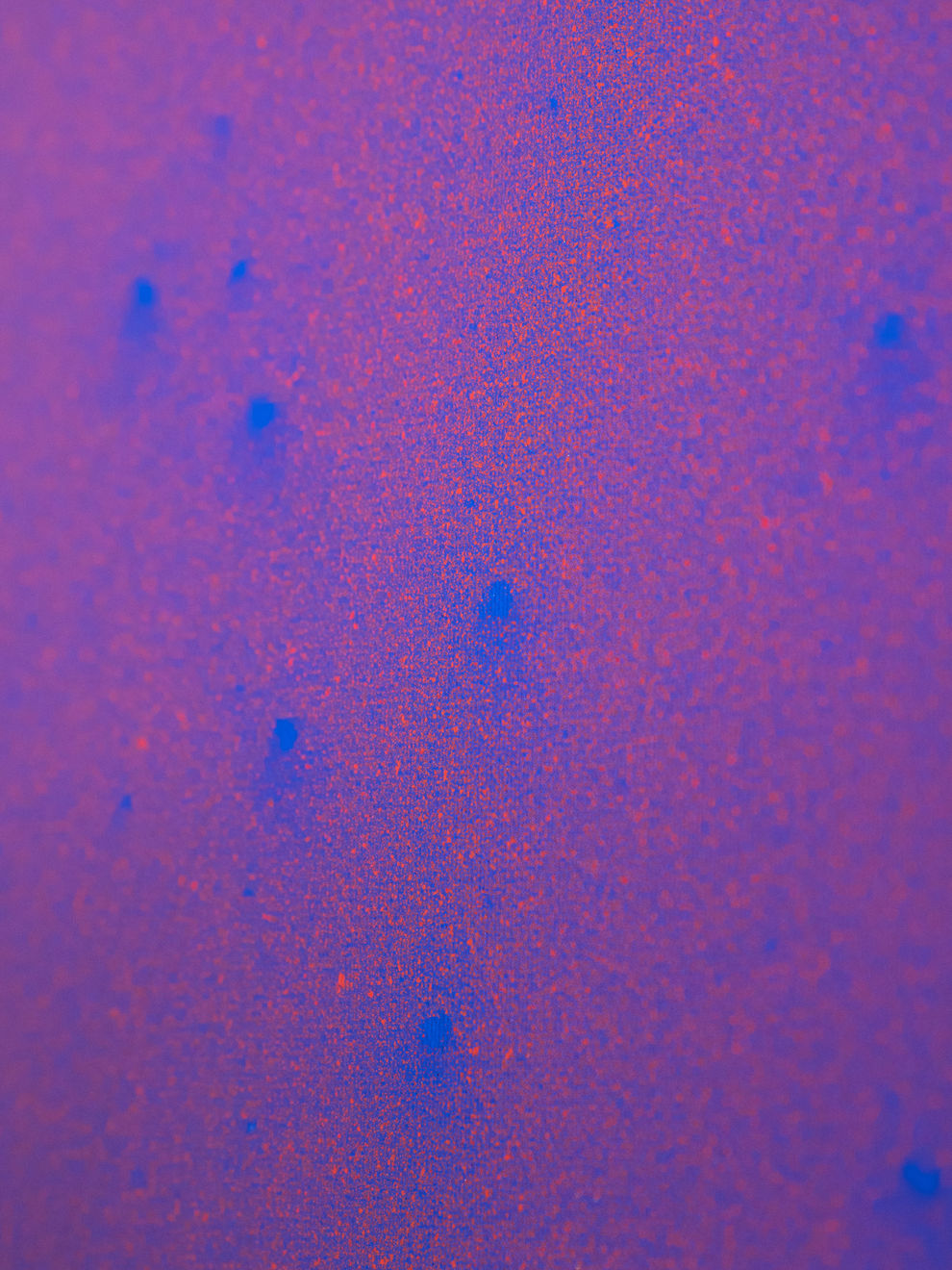 Daniel O'Toole, Deep Sight, 2025