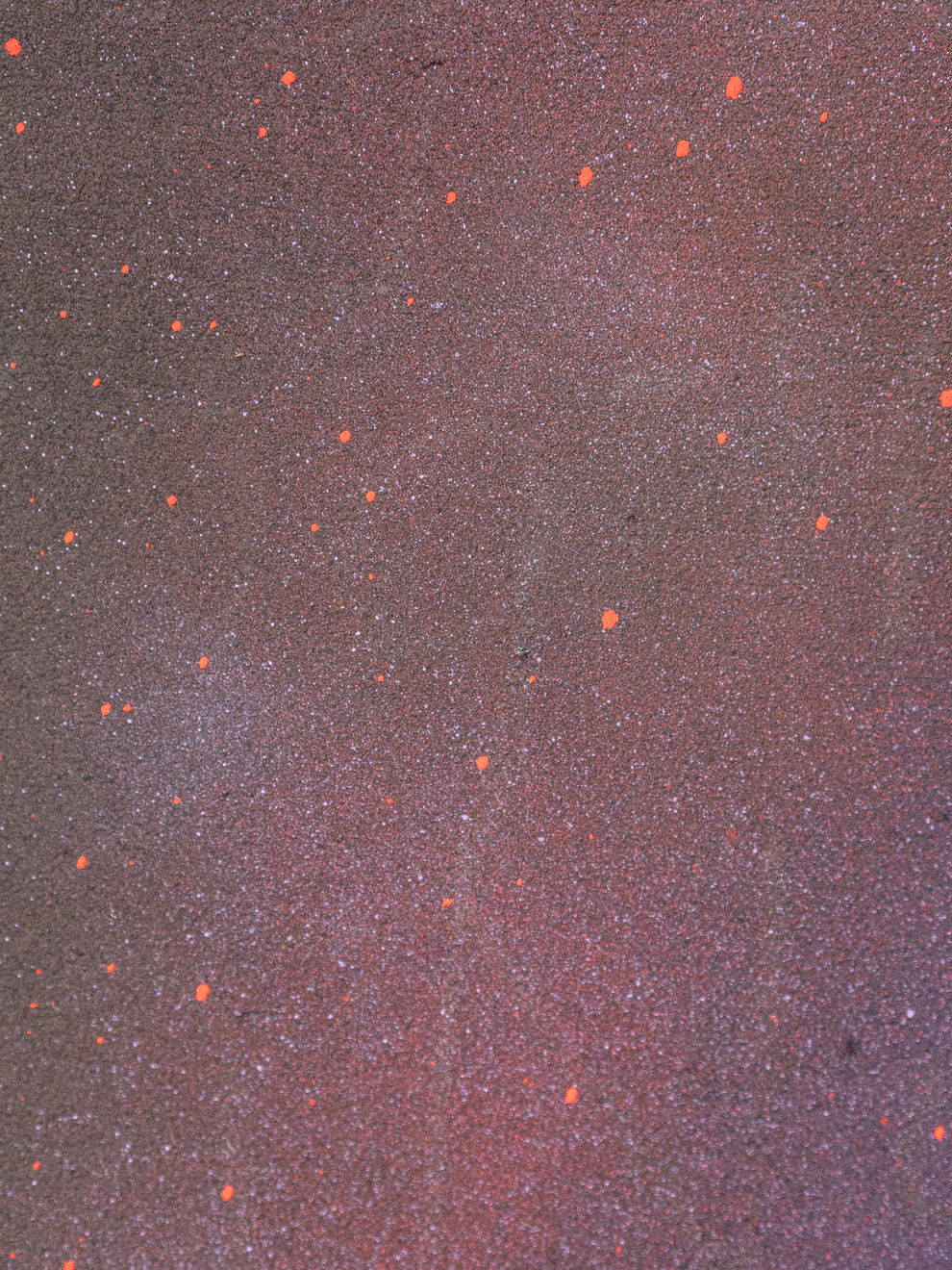 Leili Tehrani Walker, Arena, 2024