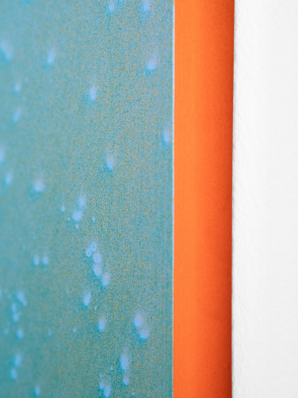 Daniel O'Toole, Plasmodesmata, 2025