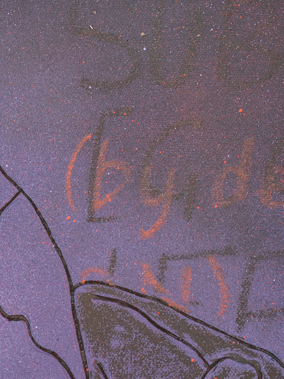 Leili Tehrani Walker, Arena, 2024