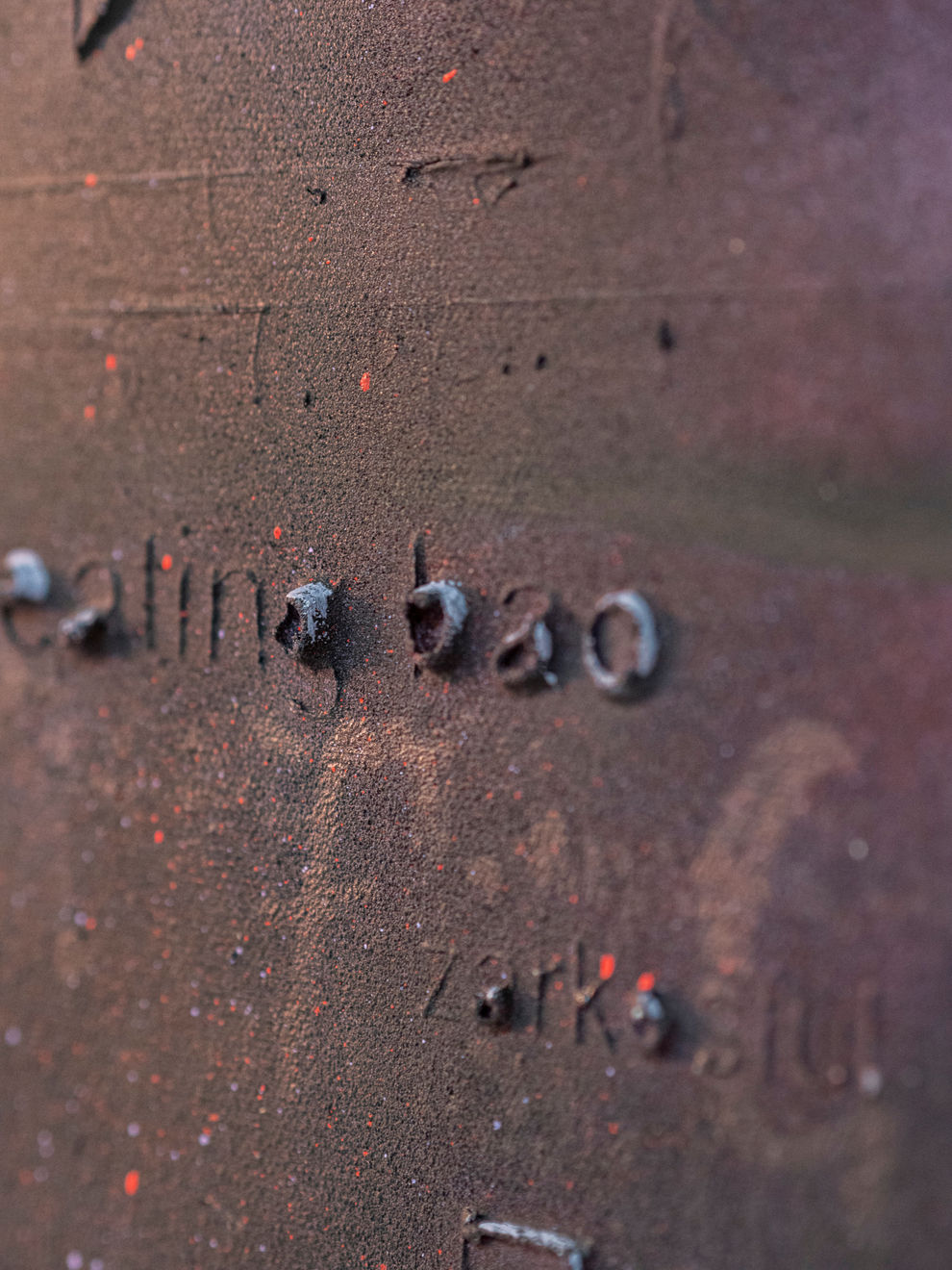 Leili Tehrani Walker, Arena, 2024