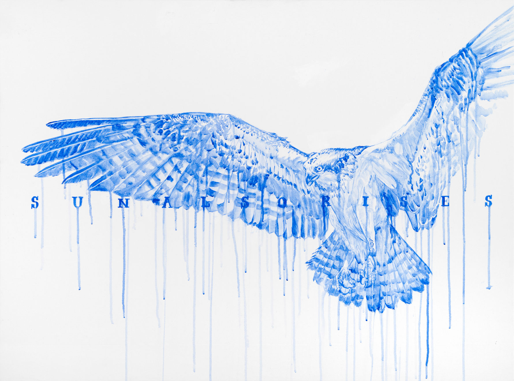 Hiroyasu Tsuri, Sun Also Rises (Falco), 2023