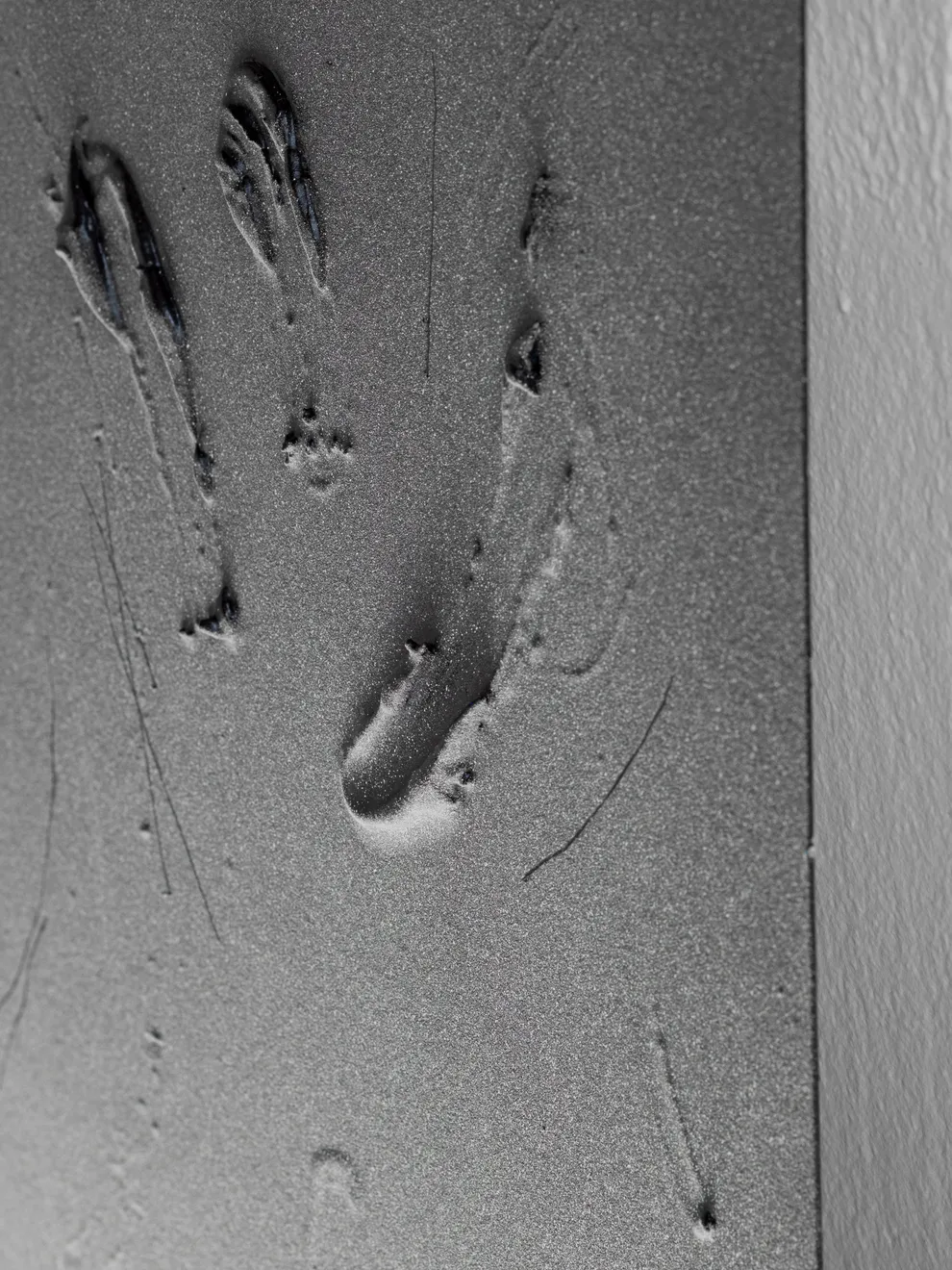 Baxter, Substance #01, 2024