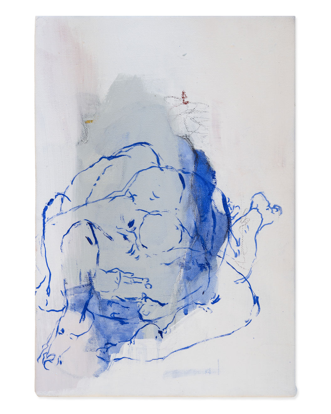 Cam Summers, Wrestling in Colourful Emotions, 2026