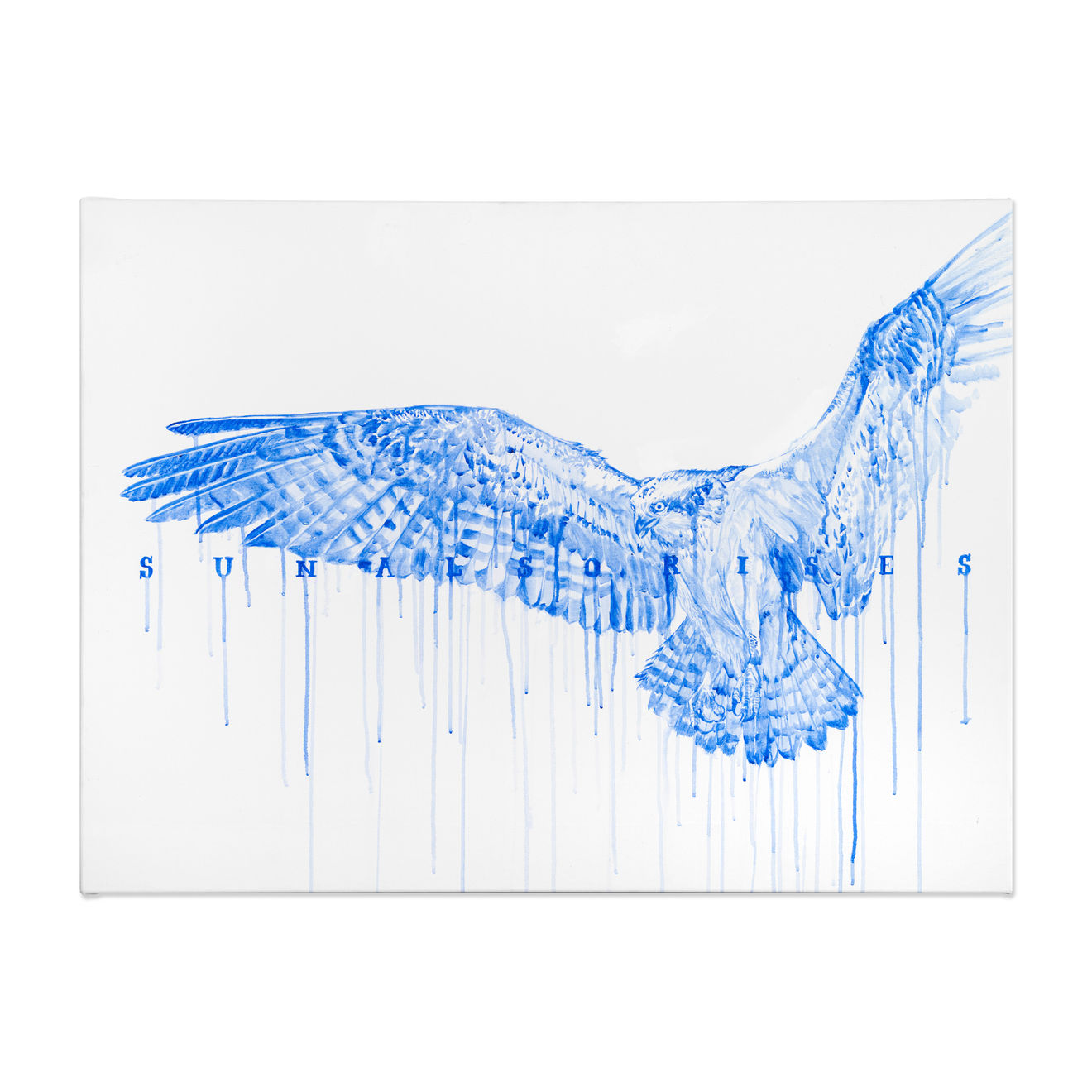 Hiroyasu Tsuri, Sun Also Rises (Falco), 2023