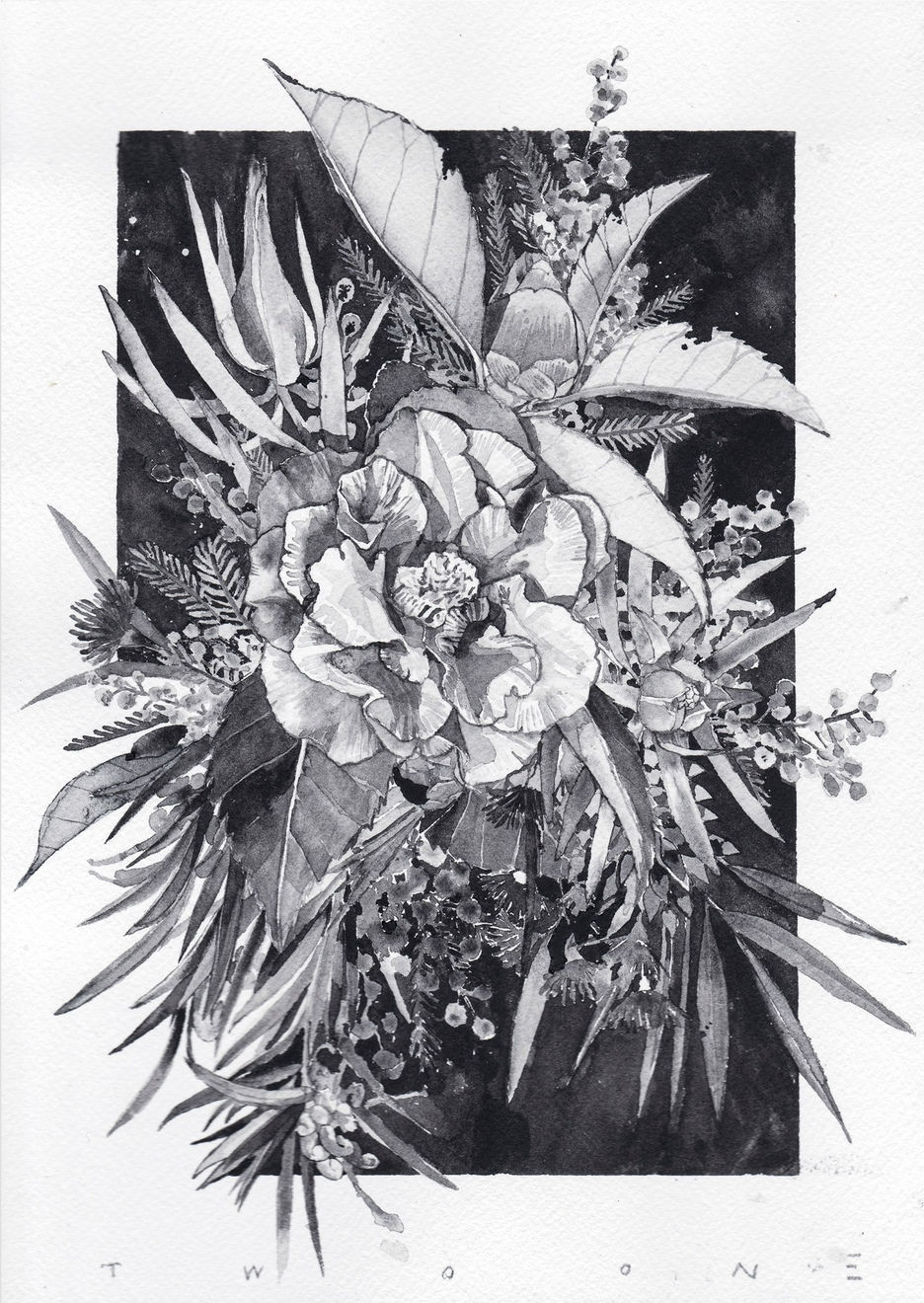 Hiroyasu Tsuri, Wild Flora of Leongtha, 2025