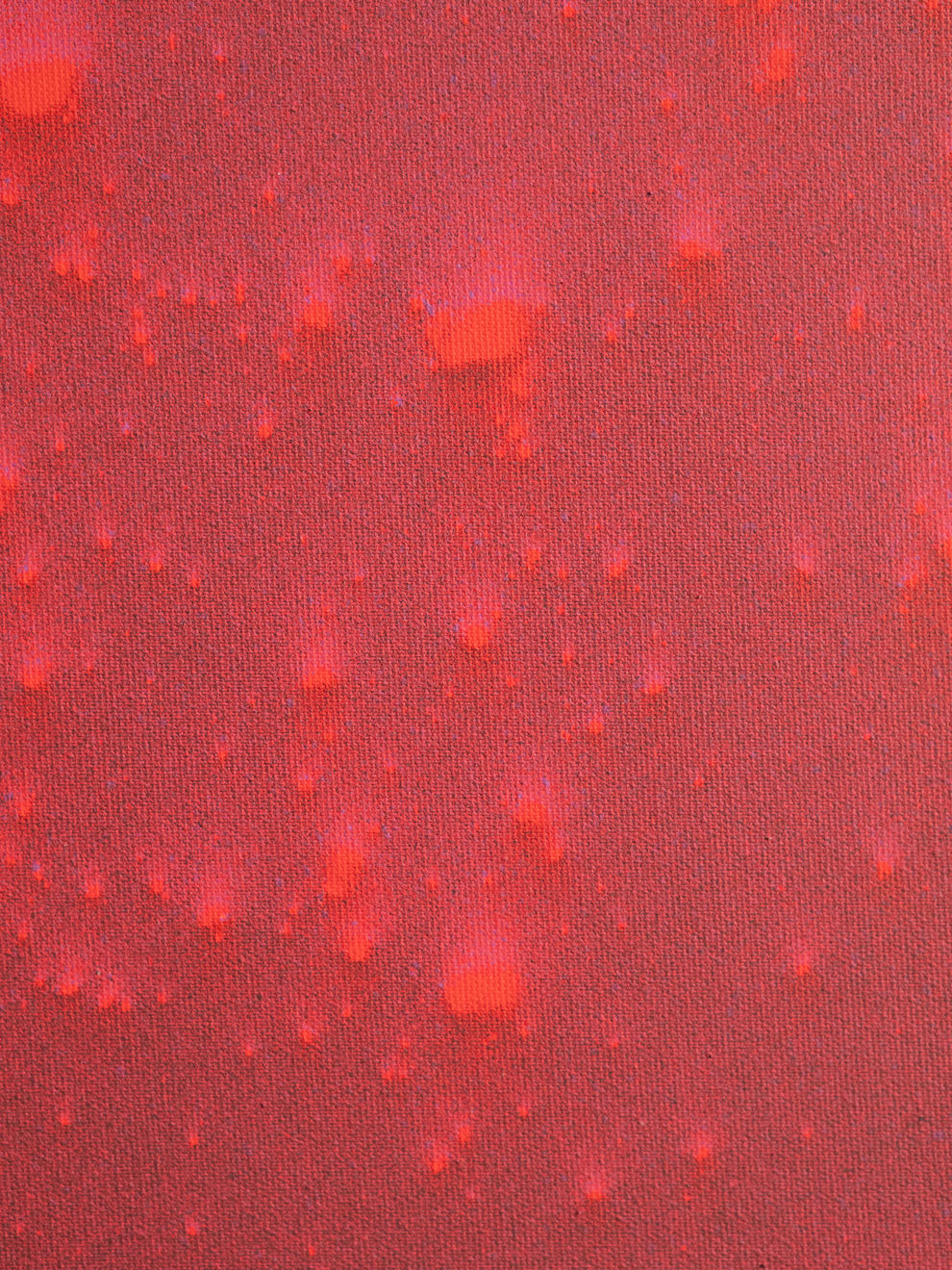 Daniel O'Toole, Terraform, 2025