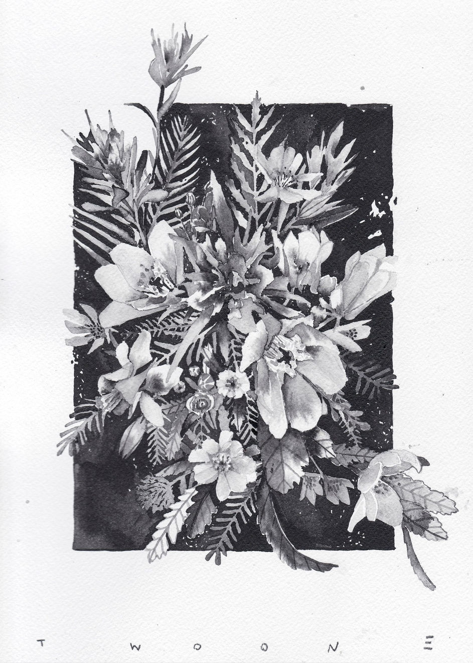 Hiroyasu Tsuri, Wild Flora of Jasper on High Mountain, 2025