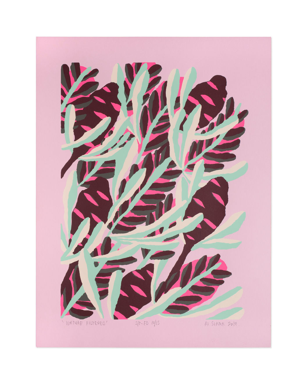 Al Stark, Nature Filtered, 2019