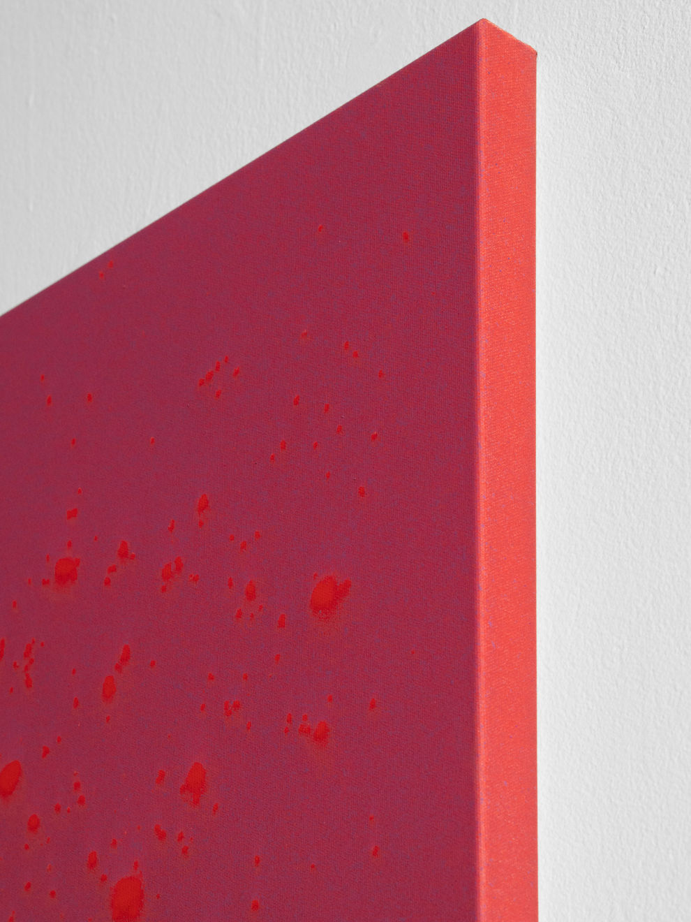 Daniel O'Toole, Terraform, 2025