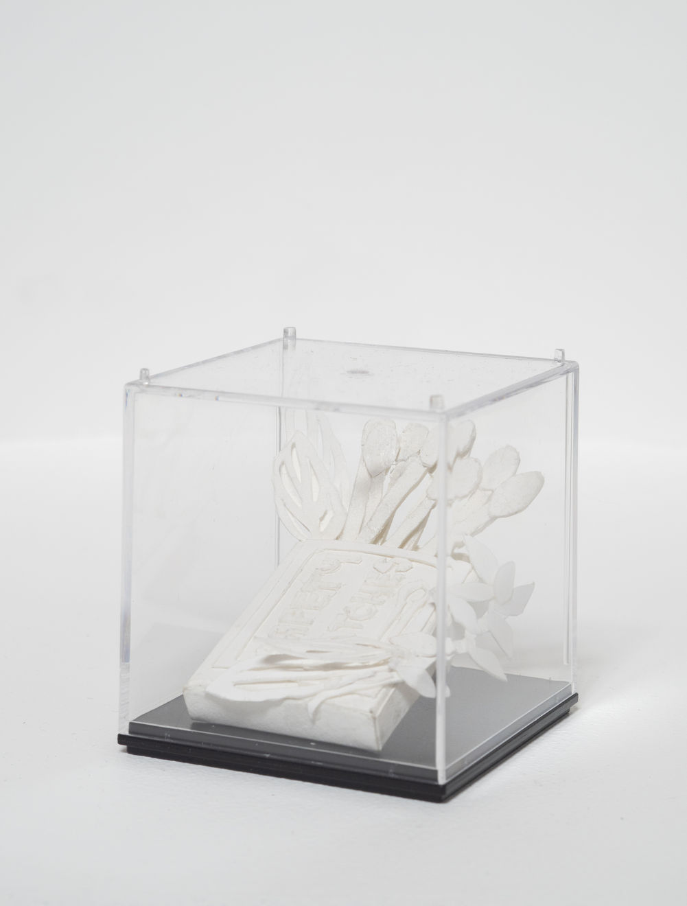 Manda Lane, Safety Matches #02, 2025